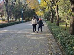 -森林公园(尖草坪区)