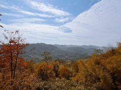 -长沙黑麋峰国家森林公园