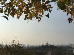 -成都驻京办餐厅(蜀都宾馆店)