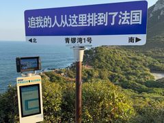 -杨梅坑