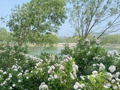 -济南国际园博园