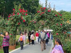 -人民公园(罗湖区)