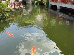 -香麒园·过桥米线·南湖雅宴