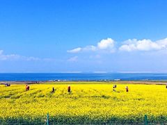 -青海湖国家重点风景名胜区