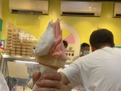 -柠檬车露(卖草地店)