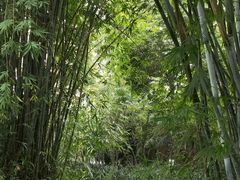 -成飞公园