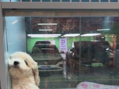 -FAELING PETS美天灵宠物(合生汇店)