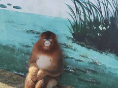 -西霞口神雕山野生动物世界