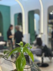 -a·f one hair salon