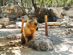 -北京野生动物园