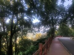 -广州市石门国家森林公园