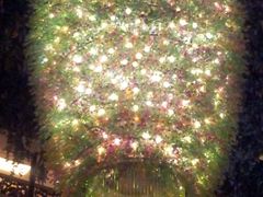 -深圳东部华侨城茵特拉根酒店