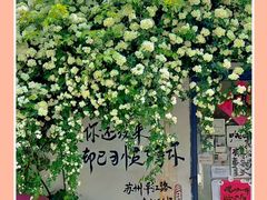 -山塘街