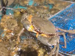 -拉完海鲜大排档(温岭店)