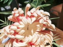 -呷哺呷哺 黄金牧场 (大港油田幸福广场店)