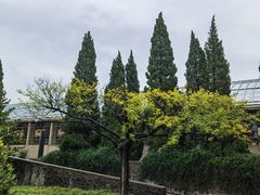 -秦始皇帝陵博物院(兵马俑)