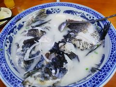 -全乐鱼馆·淳牌有机鱼直营店