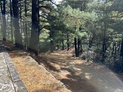 -苍山感通索道