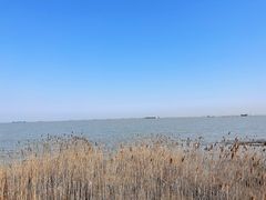 -上海吴淞炮台湾国家湿地公园