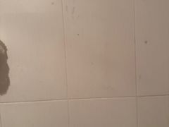 -菌之家·专业纯野生菌火锅·特色炒菌