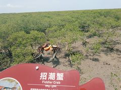 -北海金海湾红树林生态旅游区