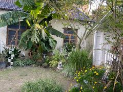 -Jo's Garden
