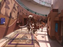 -陕西自然博物馆