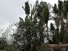 -白沙门生态公园