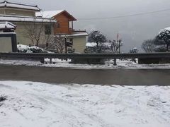 -四明山国家森林公园