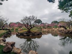 -无锡梅园公园