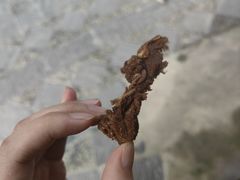 -但家香酥鸭(小十字店)