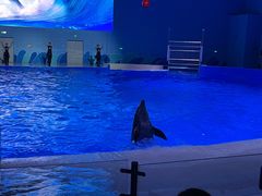 -石家庄极地海洋世界
