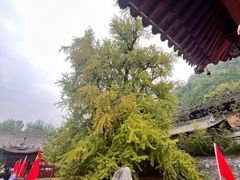 -沣峪口