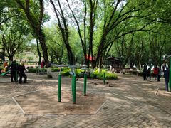 -永安龟山公园