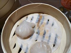 -纽斯特牛排自助餐厅(浦东文峰广场店)
