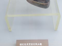 -邹城博物馆