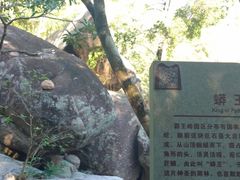 -海南霸王岭国家森林公园