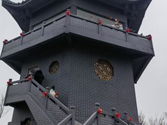 -盐城丹顶鹤湿地生态旅游区