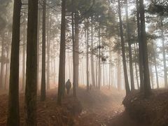 -山王坪喀斯特国家生态公园