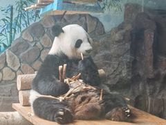 -济南野生动物世界