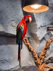 -Zoolung Zoolung动物主题公园(海信广场店)