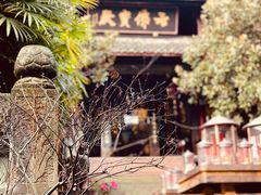 -峨眉山报国寺