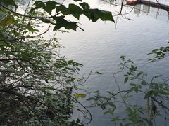 -重庆彩云湖湿地公园