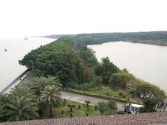 -大湾区中央湿地公园