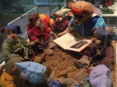 -济州岛泰迪熊博物馆