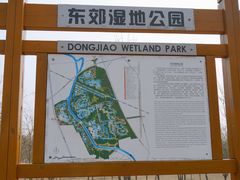 -东郊湿地公园