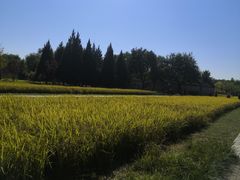 -北坞公园