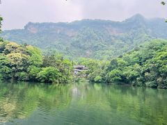 -青城山