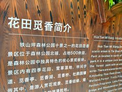 -铁山坪森林公园