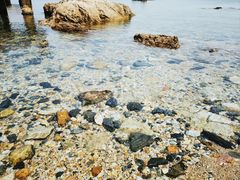 -养马岛旅游度假区